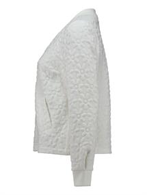 offwhite flower