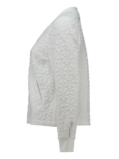 offwhite flower
