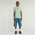 Old skool logo r t birds egg green