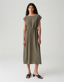 olive leaf