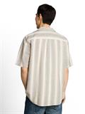 olive multicolor stripe