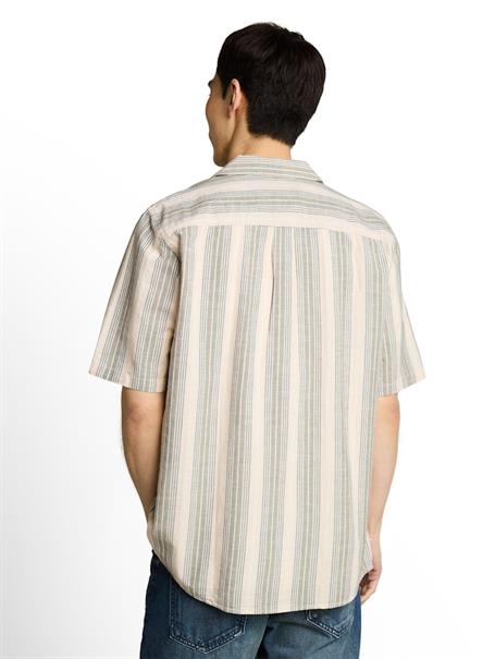 olive multicolor stripe