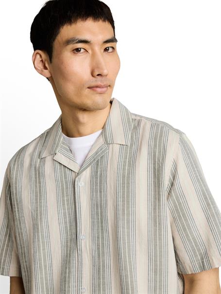 olive multicolor stripe