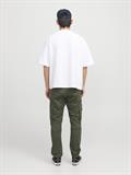 olive night