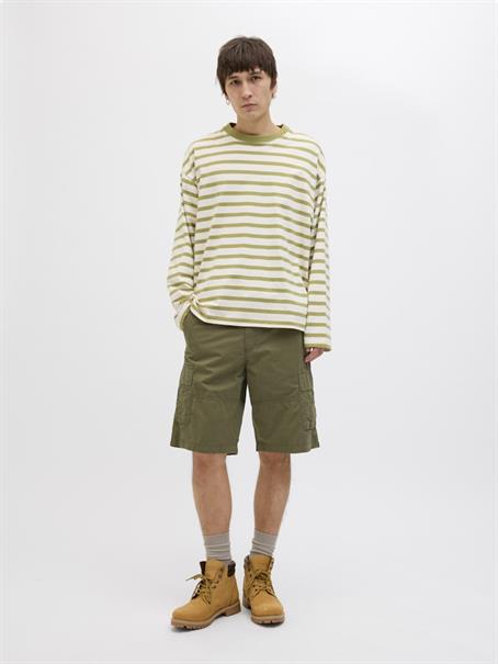 olive night