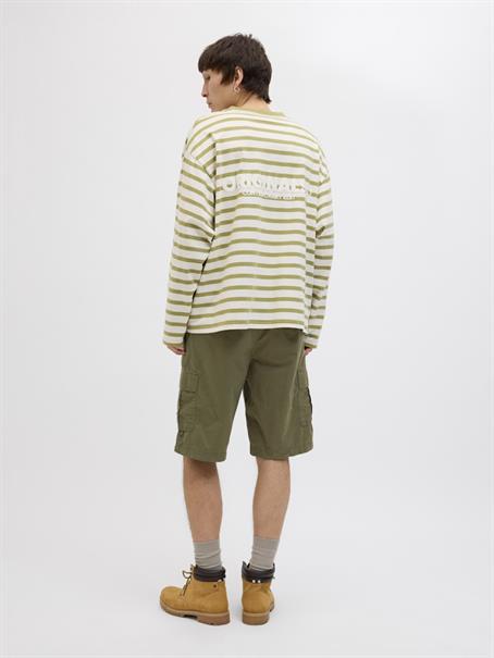 olive night