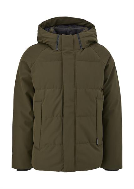 olive