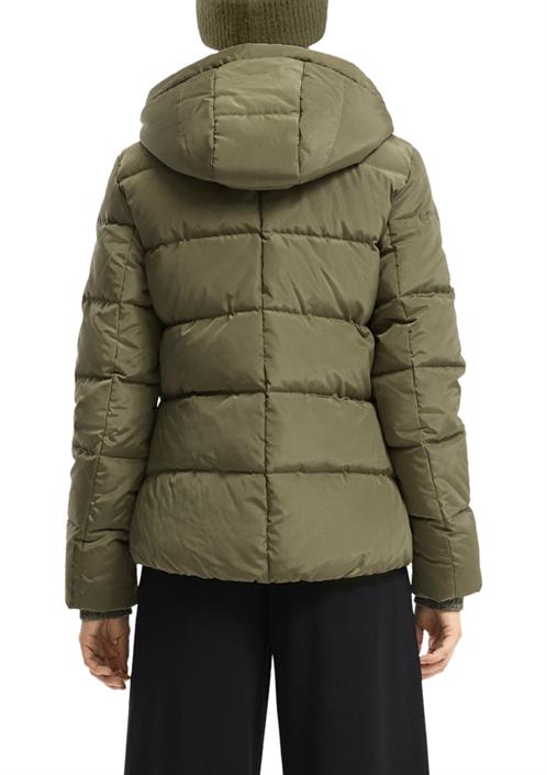 olive