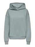 ONLADELE L/S HOOD CS SWT abyss