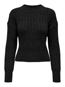 ONLAGNES LS RIB HIGHNECK CC KNT black