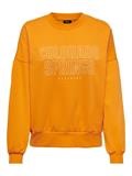 ONLCALLIE L/S O-NECK BOX SWT apricot