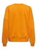 ONLCALLIE L/S O-NECK BOX SWT apricot