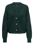 ONLCAROL NICE L/S CARDIGAN KNT NOOS green gables
