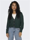 ONLCAROL NICE L/S CARDIGAN KNT NOOS green gables