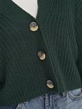 ONLCAROL NICE L/S CARDIGAN KNT NOOS green gables