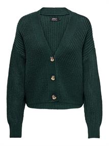ONLCAROL NICE L/S CARDIGAN KNT NOOS green gables