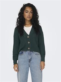 ONLCAROL NICE L/S CARDIGAN KNT NOOS green gables