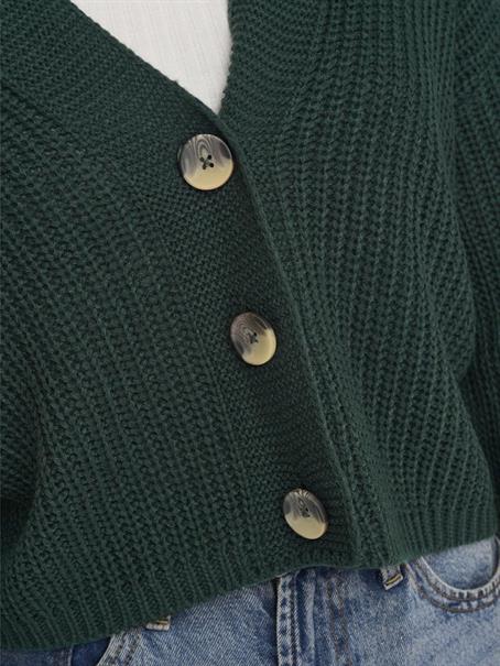 ONLCAROL NICE L/S CARDIGAN KNT NOOS green gables