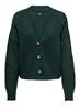 ONLCAROL NICE L/S CARDIGAN KNT NOOS green gables