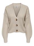 ONLCAROL NICE L/S CARDIGAN KNT NOOS pumice stone