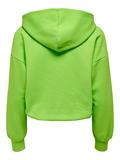 ONLCOOPER L/S HOOD SWT jasmine green