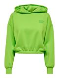 ONLCOOPER L/S HOOD SWT jasmine green