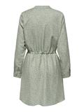 ONLCORY LIFE L/S V-NECK TUNIC WVN NOOS lily pad