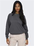 ONLDAZE L/S O-NECK CC SWT magnet