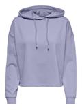 ONLDREAMER L/S HOOD SWT NOOS cosmic sky