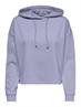 ONLDREAMER L/S HOOD SWT NOOS cosmic sky