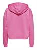 ONLDREAMER L/S HOOD SWT NOOS gin fizz