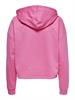 ONLDREAMER L/S HOOD SWT NOOS gin fizz