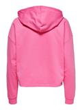 ONLDREAMER L/S HOOD SWT NOOS gin fizz