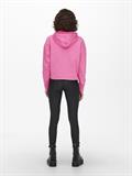 ONLDREAMER L/S HOOD SWT NOOS gin fizz