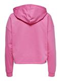 ONLDREAMER L/S HOOD SWT NOOS gin fizz