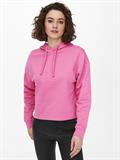 ONLDREAMER L/S HOOD SWT NOOS gin fizz