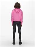 ONLDREAMER L/S HOOD SWT NOOS gin fizz