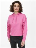 ONLDREAMER L/S HOOD SWT NOOS gin fizz