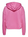 ONLDREAMER L/S HOOD SWT NOOS gin fizz