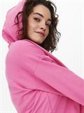 ONLDREAMER L/S HOOD SWT NOOS gin fizz