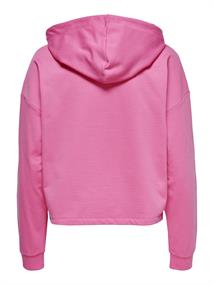 ONLDREAMER L/S HOOD SWT NOOS gin fizz