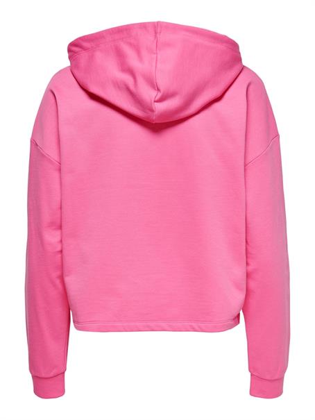 ONLDREAMER L/S HOOD SWT NOOS gin fizz