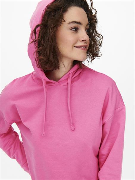 ONLDREAMER L/S HOOD SWT NOOS gin fizz