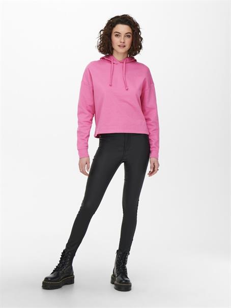 ONLDREAMER L/S HOOD SWT NOOS gin fizz