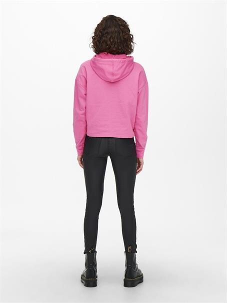 ONLDREAMER L/S HOOD SWT NOOS gin fizz