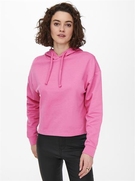 ONLDREAMER L/S HOOD SWT NOOS gin fizz