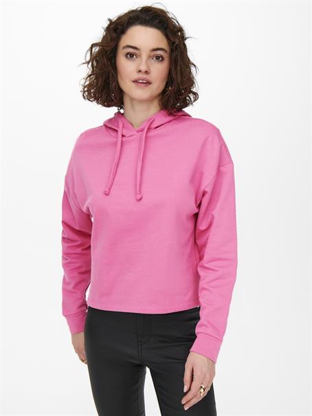 ONLDREAMER L/S HOOD SWT NOOS gin fizz