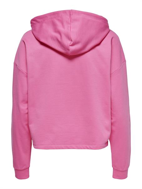 ONLDREAMER L/S HOOD SWT NOOS gin fizz