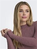 ONLEMMA L/S HIGH NECK TOP NOOS JRS rose brown