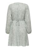 ONLEVIDA L/S SHORT DRESS WVN NOOS chinois green